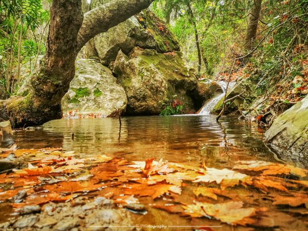 Su,Samos,Yunanistan,Potami,bitki,su kaynakları