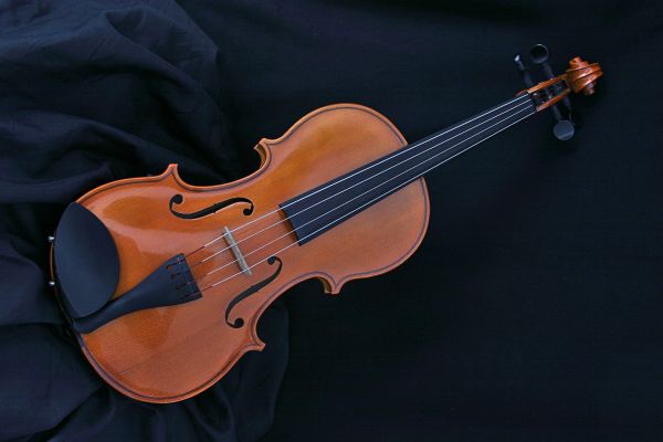 guitarra, instrumento musical, violín, instrumento de cuerda, Familia del violín, viola