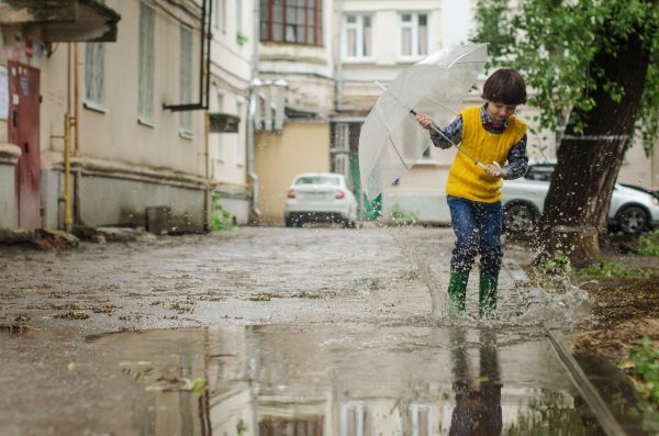 kinderen,jongen,venster,buurt,woongebied,straat