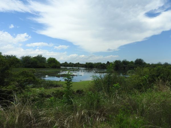 rivier-,landschap,natuurlijk landschap,natuur,natuurlijke omgeving,zomer