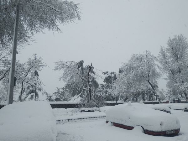 musim dingin,taman bersalju,pohon bersalju,salju,dingin,snowy car