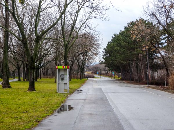 telekom austria,vienna,Austria,alberi,parco,erba