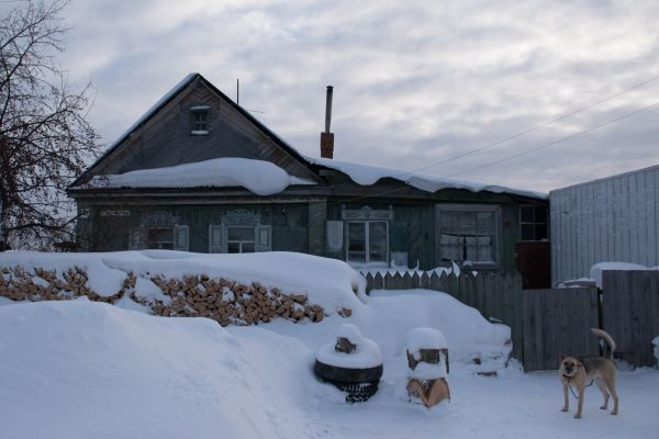 talvi-, maaseudun, talo, koira, Siperia, kylä