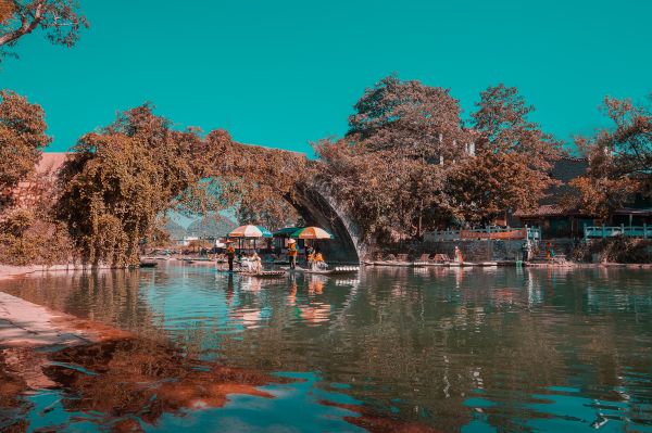 sky,plant,leaf,bridge,water,natural landscape