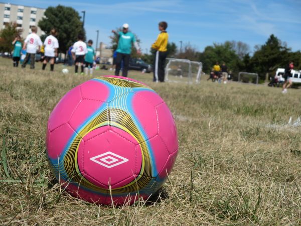 sport, champ, Jeu, jouer, athlétique, équipement