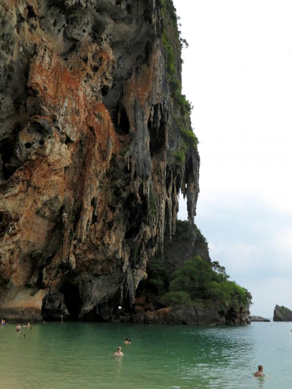 海, 海岸, 木, 水, 自然, 岩