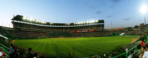 erba, struttura, baseball, stadio, astratto, panorama