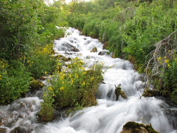 dere,peyzaj,Su,doğa,orman,şelale