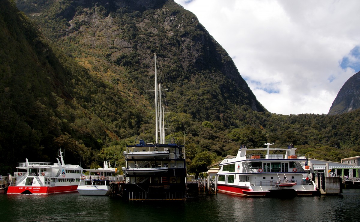 sea, coast, mountain, boat, lake, river, travel, wildlife, vehicle, bay, fjord, tourism, waterway, body of water, ferry, boating, mountains, newzealand, waterfalls, flickrelite, watercraft, fiordland, fiordlandnationialpark, boatride, grandpacifictours, jucycruises, highcliffs, lunchcruise, worldheritagesite, landform, passenger ship, geographical feature