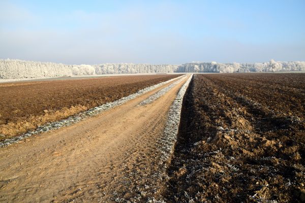 landscape,nature,horizon,cold,track,road