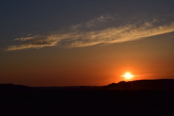 horizon,cloud,sky,sun,sunrise,sunset