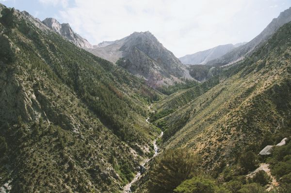 mers, Munte, drumeții, peisaj, natură, pădure