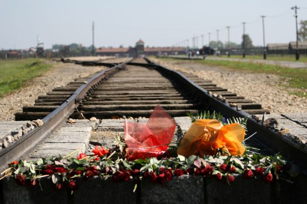 track,transport,vehicle,flower,holocaust,oswiecim