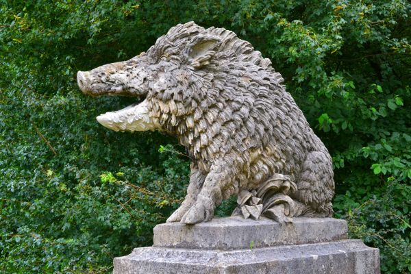 stein,monument,statue,fig,Villsvin,skulptur