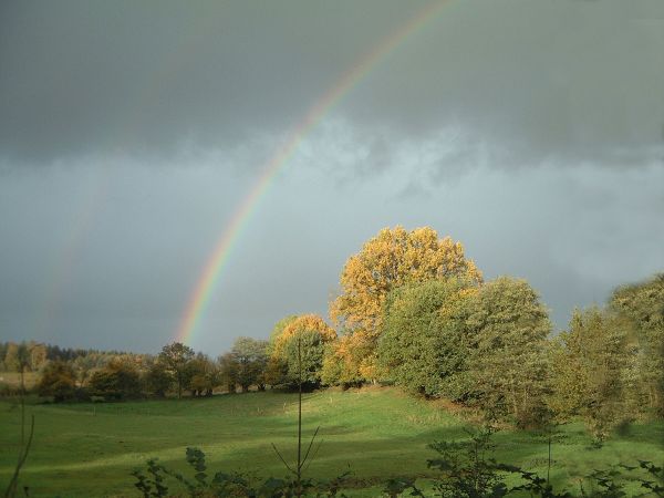 panorama, natureza, grama, nuvem, céu, campo