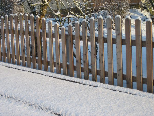 snø, gjerde, tre, kald, vinter, hvit