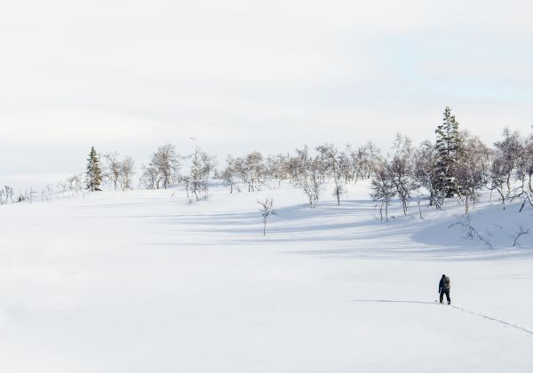 person,snø,kald,natur,sti,utendørs