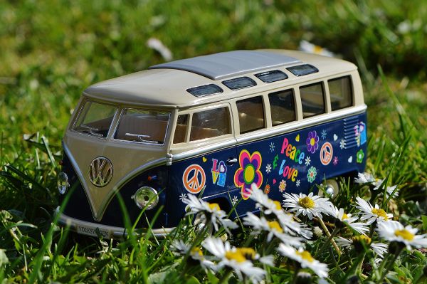 car,meadow,flower,vw,volkswagen,transport