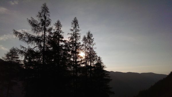 paisaje,árbol,naturaleza,bosque,montaña,nieve