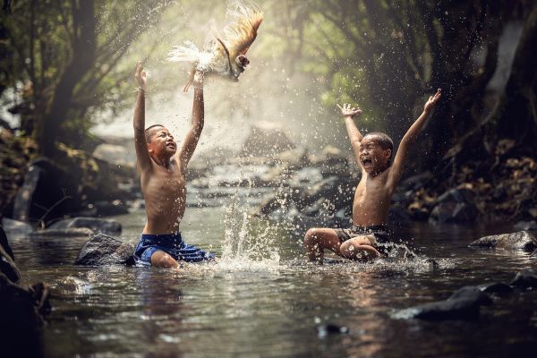 albero, acqua, natura, all'aperto, persone, torrente