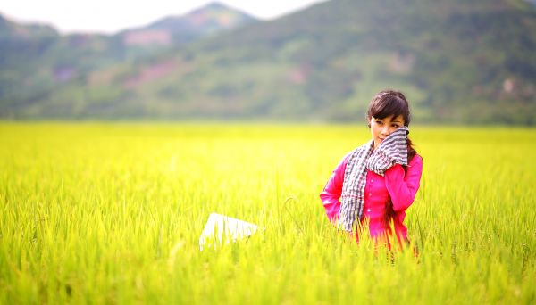 man, person, people, nature, grass, outdoor