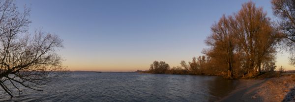 landschap, boom, water, natuur, buitenshuis, horizon