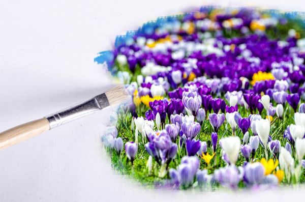 abstract,plant,flower,field,wheat,brush