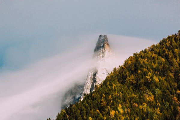 peisaj, copac, natură, pădure, pustie, Munte