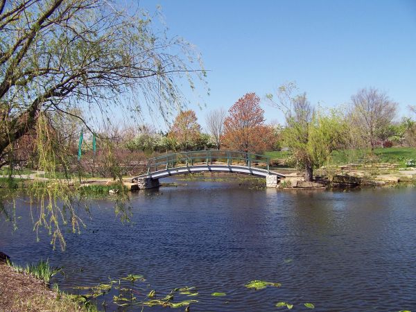 boom,water,natuur,fabriek,brug,blad