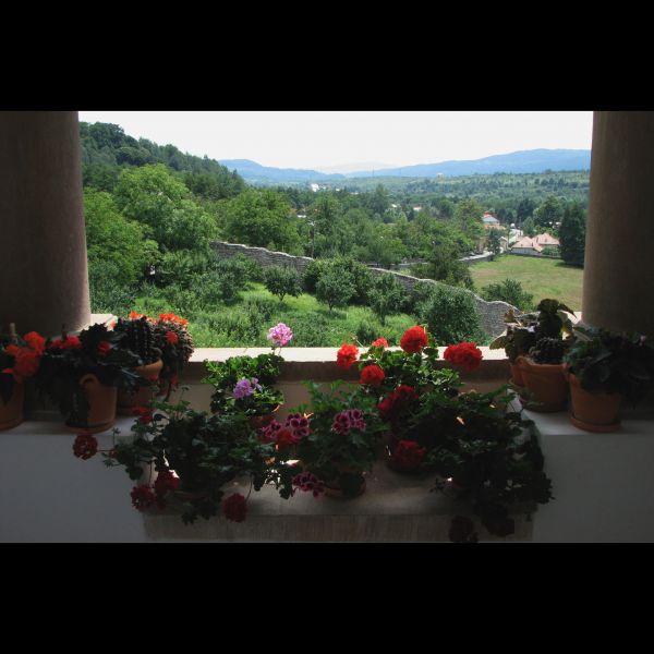 architecture,la photographie,bâtiment,monument,plante,fleur