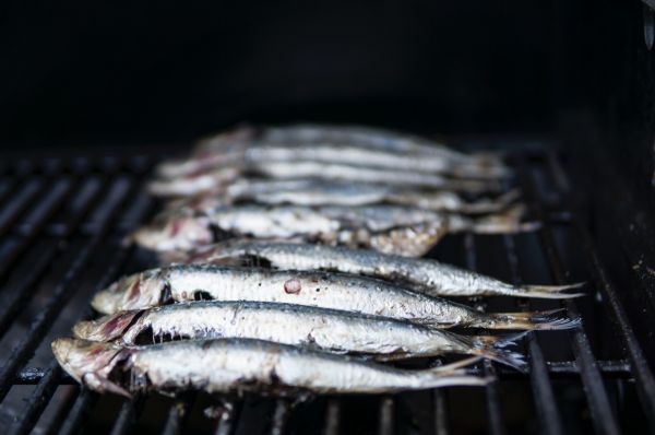 peixe,sardinha,arenque,Shishamo,Grelhar,Tinapa