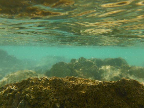 mar, costa, agua, oceano, luz solar, costa