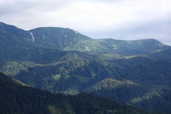 alam,gurun,gunung,pemandangan,hutan,berjalan