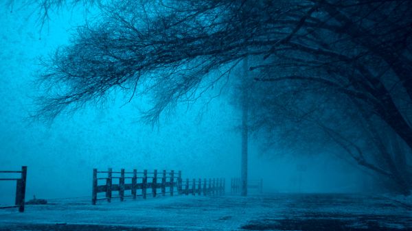 hiver,pont,nuit,arbre,brouillard,brouillard