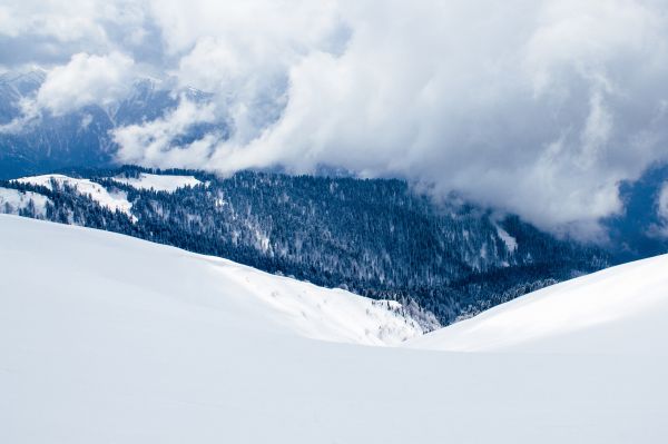 木,山,雪,冬,雲,山脈