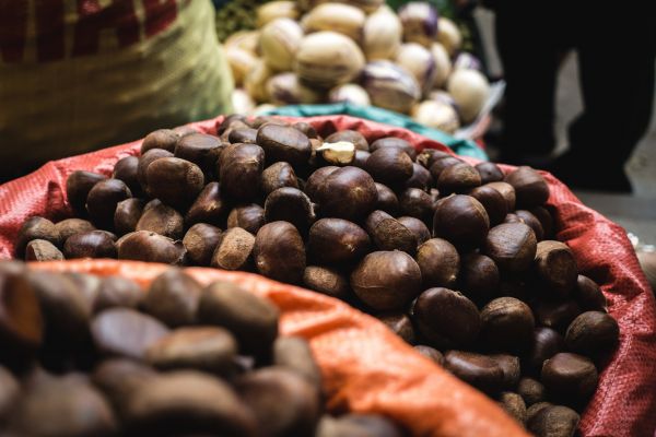 Comida,noz,Alimentos naturais,castanha,plantar,fruta