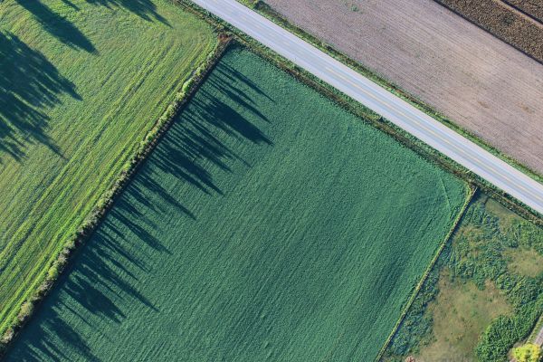 paysage,herbe,route,champ,ferme,pelouse