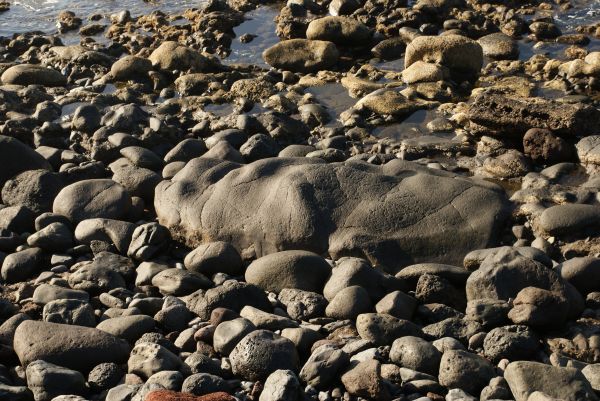 beach, sea, coast, water, nature, sand