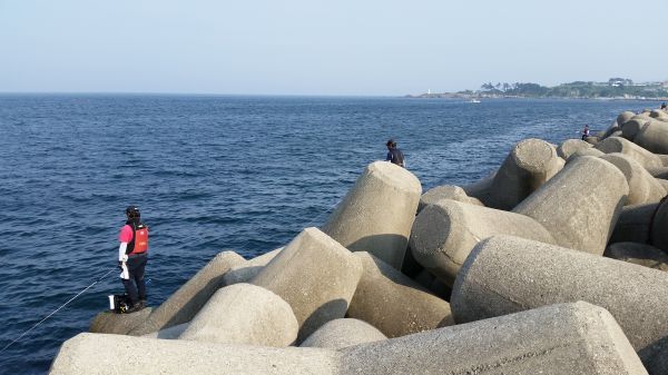 beach,sea,coast,sand,rock,ocean