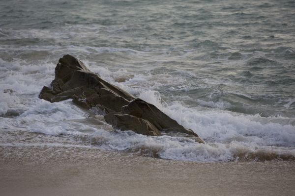 strand, landskap, hav, kust, vatten, natur