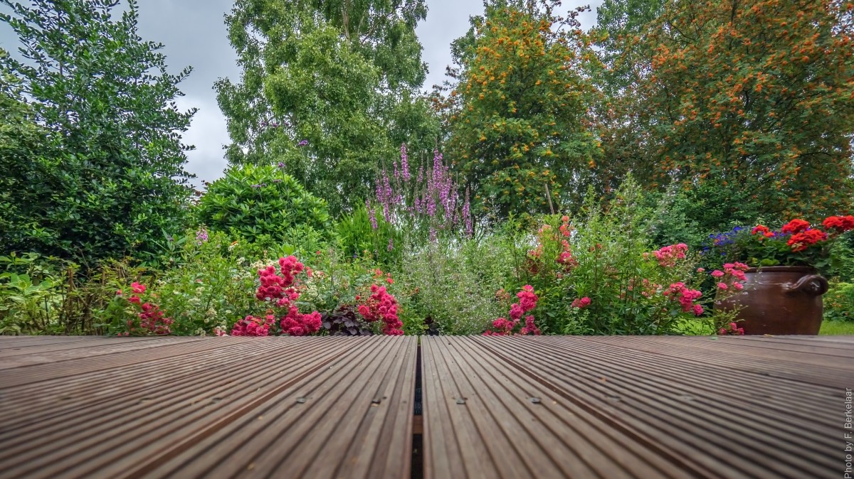 Příroda, trávník, květ, Chodník, zadní dvorek, botanika, zahrada, nederland, Rotterdam, zuidholland, terénní, keř, garten, jardin, majetek, twop, Tuin, yard, natuur, nl, volkstuin, VTV, peoplesgarden, outdoor struktura, krajinný architekt