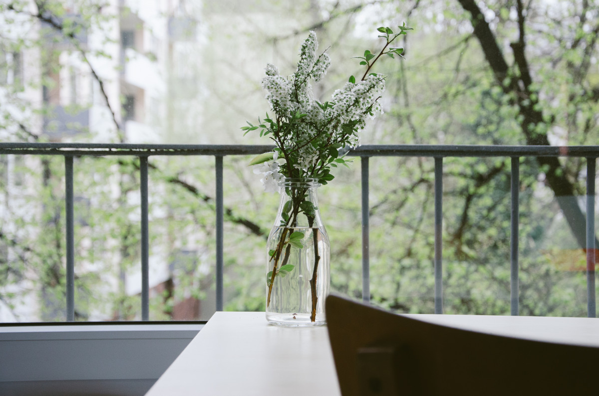 branch, plant, house, flower, interior, glass, home, vase, decoration, spring, green, interior design