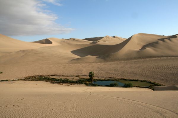 landschap,zand,woestijn,duin,materiaal,plateau