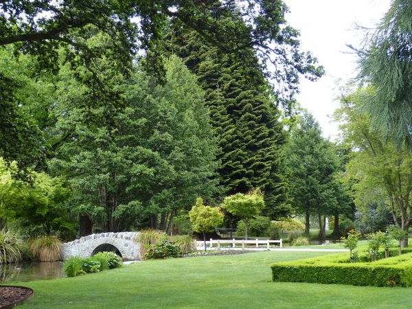 tree, nature, grass, plant, bridge, lawn