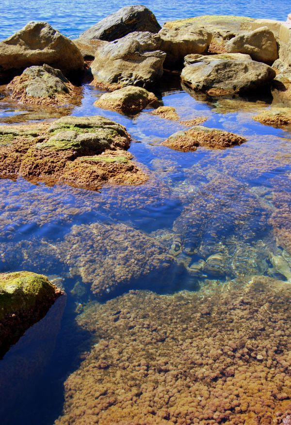 landscape, sea, coast, water, nature, rock