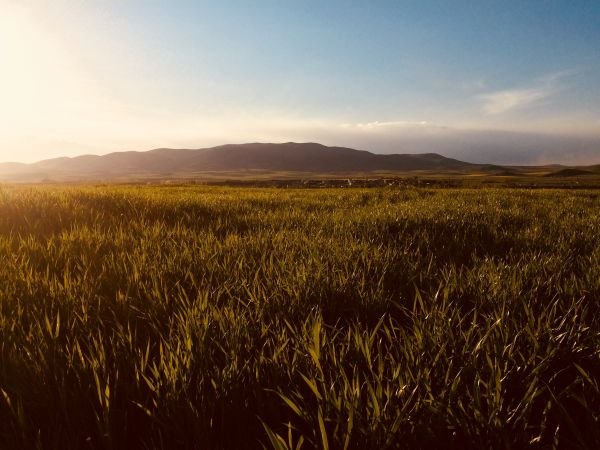 Wiese, Himmel, natürlichen Umgebung, Natur, Prärie, natürliche Landschaft