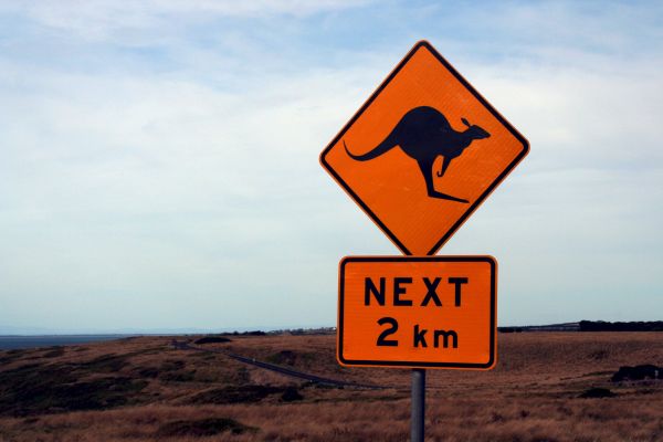 skylt,vägmärke,signage,känguru,Australien,skydda