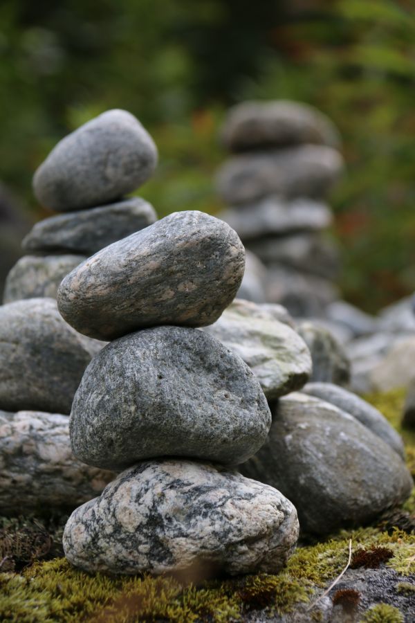 natur,stein,grønn,gress,strøm,bunke