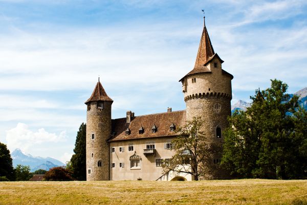 bygning,chateau,borg,fra middelalderen,felt,tårn