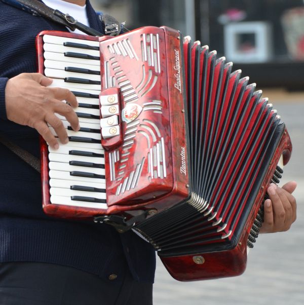 muzyka,grać,czerwony,instrument,instrument muzyczny,klawiatura